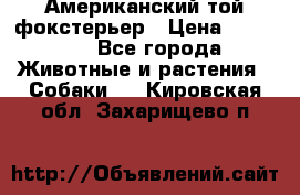 Американский той фокстерьер › Цена ­ 25 000 - Все города Животные и растения » Собаки   . Кировская обл.,Захарищево п.